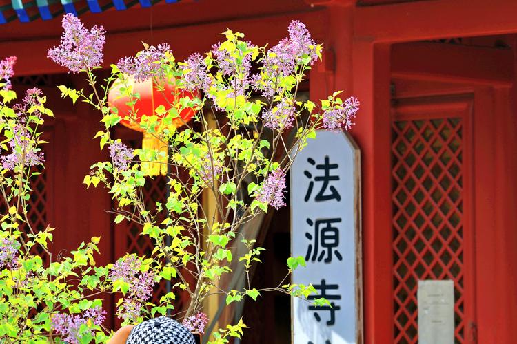Fayuan Temple